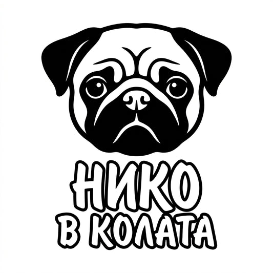 Персонализиран стикер за кола „Куче в колата“ с име по избор